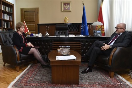Среща на посланик Плугчиева със Сърджан Дарманович, Министър на външните работи